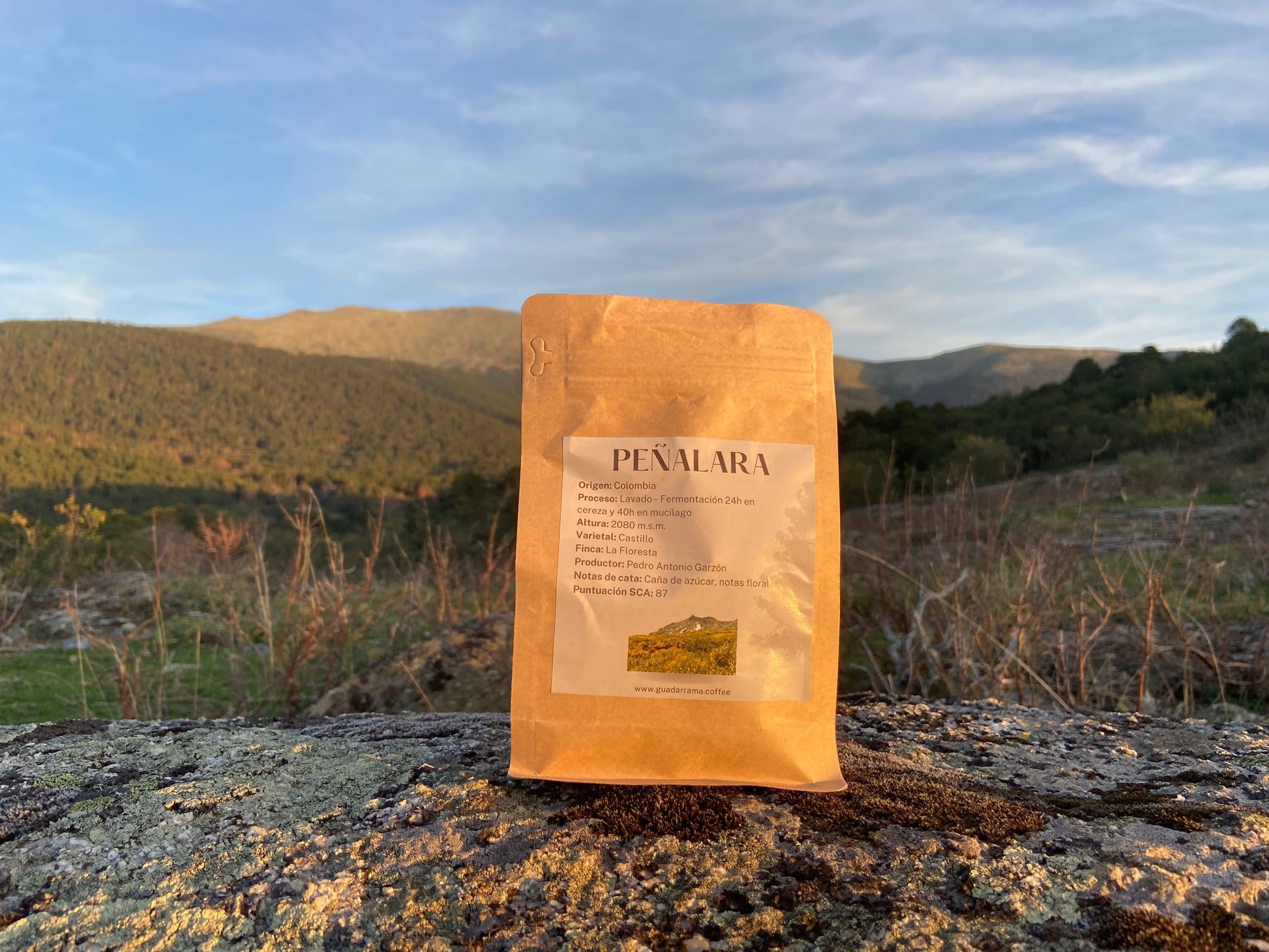 Peñalara - Guadarrama Coffee Roasters