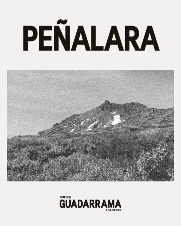 Café de especialidad Peñalara – Guadarrama Coffee Roasters