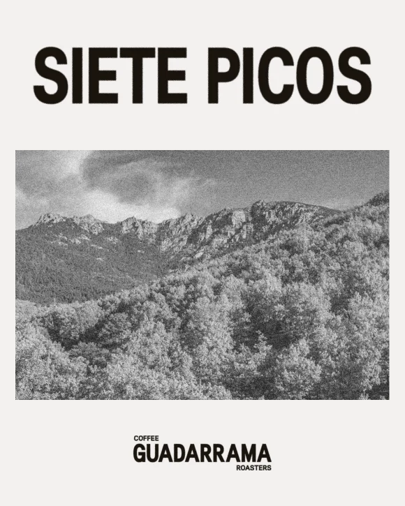 Café de especialidad Siete Picos – Guadarrama Coffee Roasters