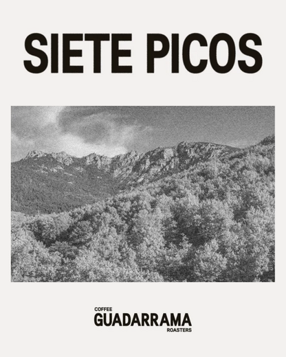 Café de especialidad Siete Picos – Guadarrama Coffee Roasters